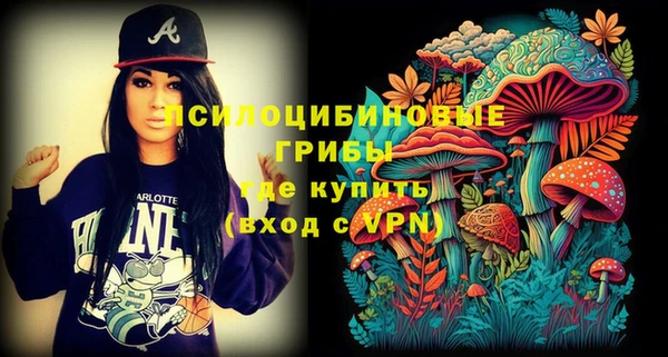 стаф Беломорск