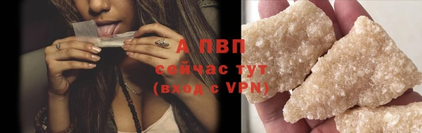 ГАЛЛЮЦИНОГЕННЫЕ ГРИБЫ Белокуриха