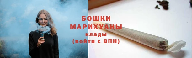 ГАЛЛЮЦИНОГЕННЫЕ ГРИБЫ Белокуриха