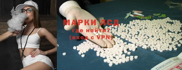 ГАЛЛЮЦИНОГЕННЫЕ ГРИБЫ Белокуриха