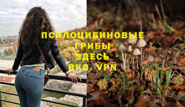 стаф Беломорск
