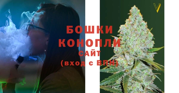 ГАЛЛЮЦИНОГЕННЫЕ ГРИБЫ Белокуриха